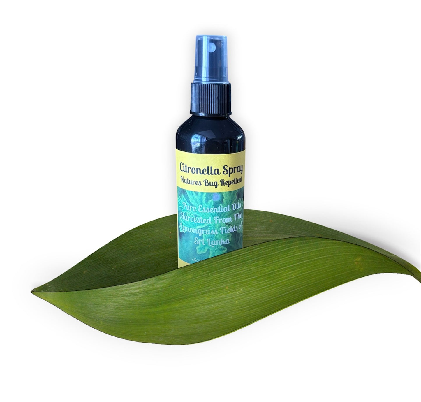 A dark blue bottle of Citronella Spray with a blue spray top, resting on a large green leaf against a plain white background.