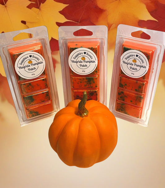 Harry Potter! Hagrid's Pumpkin Patch Wax Snap Bar