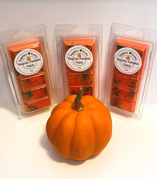 Harry Potter! Hagrid's Pumpkin Patch Wax Snap Bar